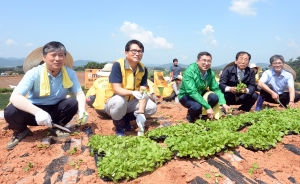 이마트 토종 배추 종자 육성 행사