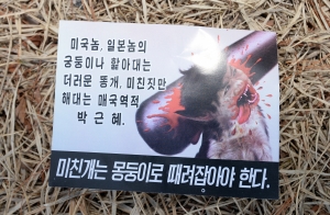 국회 잔디밭에 날아든 삐라