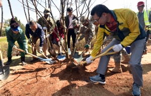 용산구 나무 심기 행사