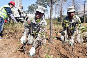 용산구　식목　행사