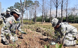 용산구　식목　행사