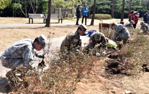 용산구　식목　행사