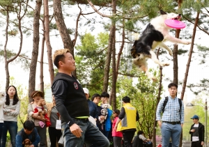 보라매공원 반려견 놀이터 개장식