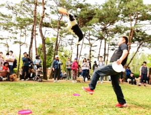 보라매공원 반려견 놀이터 개장식