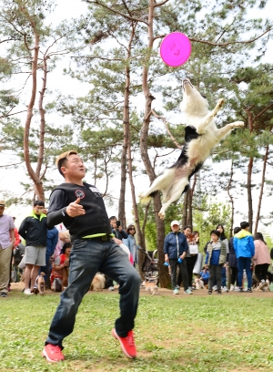 보라매공원 반려견 놀이터 개장식