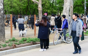 보라매공원 반려견 놀이터 개장식