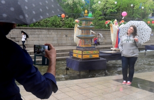 사진