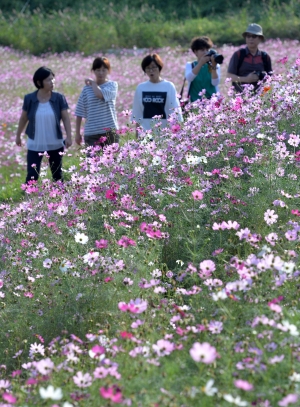 사진