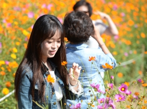 사진