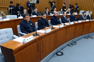 '최순실 없는 최순실 청문회'