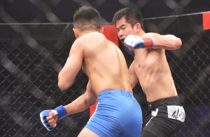 MMA 종합격투기 'TFC14'