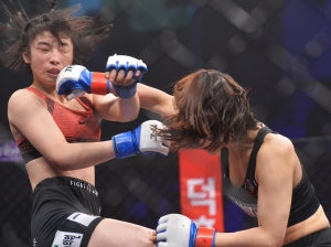 MMA 종합격투기 'TFC14'