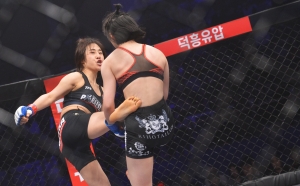 MMA 종합격투기 'TFC14'