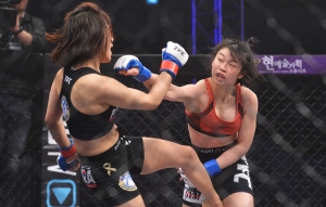 MMA 종합격투기 'TFC14'