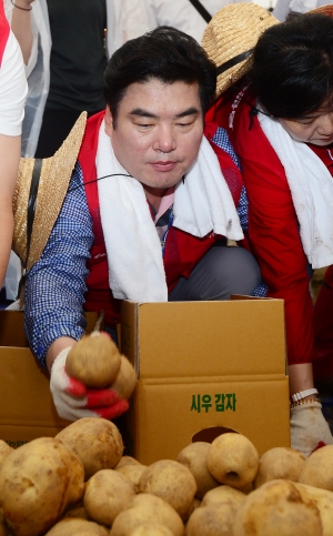 자유한국당 감자 수확 봉사활동