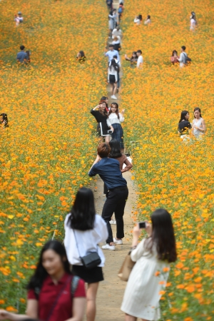 사진