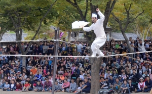 사진