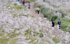 제주도의 가을