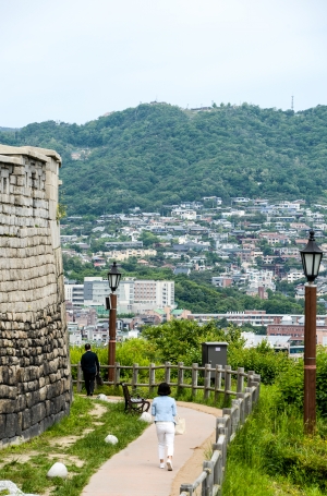 사진