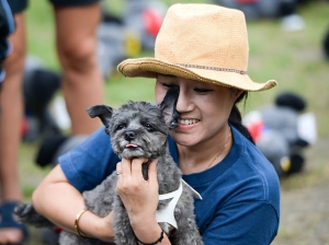 케어, '토리 인형 전시회 I'm Not Food-먹지 말고 안아 주세요'