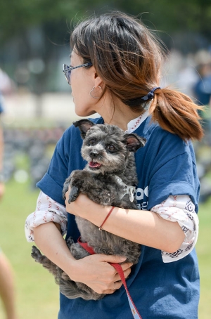 케어, '토리 인형 전시회 I'm Not Food-먹지 말고 안아 주세요'