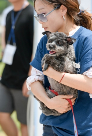 케어, '토리 인형 전시회 I'm Not Food-먹지 말고 안아 주세요'