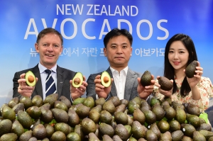 홈플러스 '뉴질랜드 아보카도로 차린 건강한 식탁'