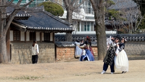 봄 맞은 전주 한옥마을