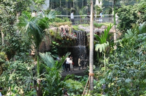 관람객들로 북적이는 서울식물원 온실