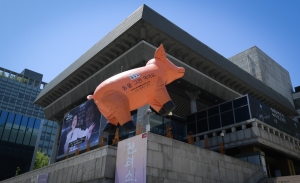 동물해방물결, '탈육식' 캠페인 개최