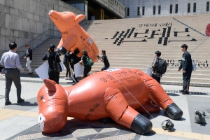 동물해방물결, '탈육식' 캠페인 개최