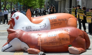 동물해방물결, '탈육식' 캠페인 개최