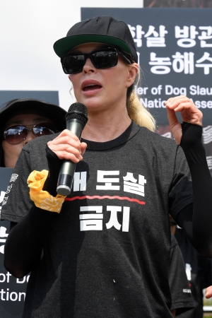 킴 베이싱어 2019 복날추모행동