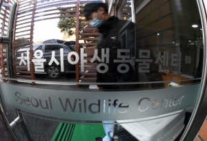 서울시야생동물센터 기획취재