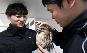 서울시야생동물센터 기획취재
