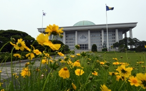 노란 꽃 핀 국회 잔디광장