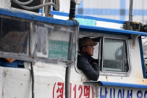 태풍 하이선 묵호항 피항 선박