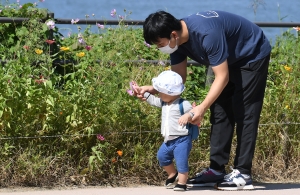 가을하늘 아래 코스모스 향기 속으로~