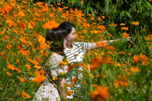 사진