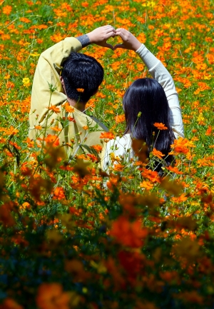 사진