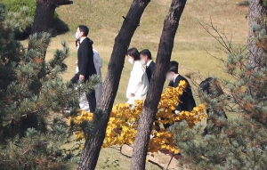 사진