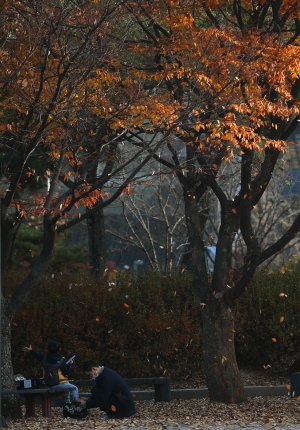 떨어지는 가을 낙엽