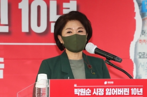 박원순 시정, 잃어버린 10년