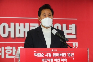 박원순 시정, 잃어버린 10년