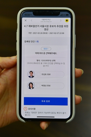 민주당 경선 권리당원 온라인 투표