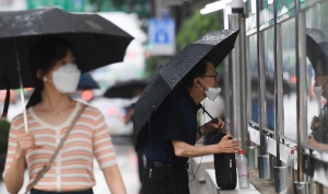 여름비 내리는 도심