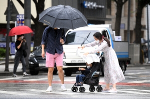 여름비 내리는 도심