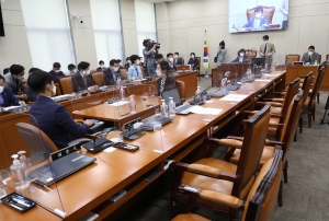 '대체공휴일법' 행안위 전체회의