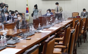 '대체공휴일법' 행안위 전체회의
