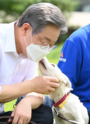 이재명, 동물복지 공약 발표